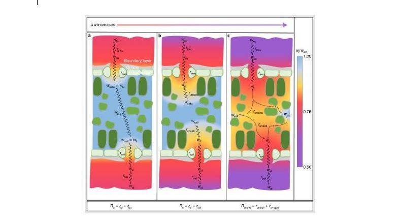 perdida de agua brect (2)